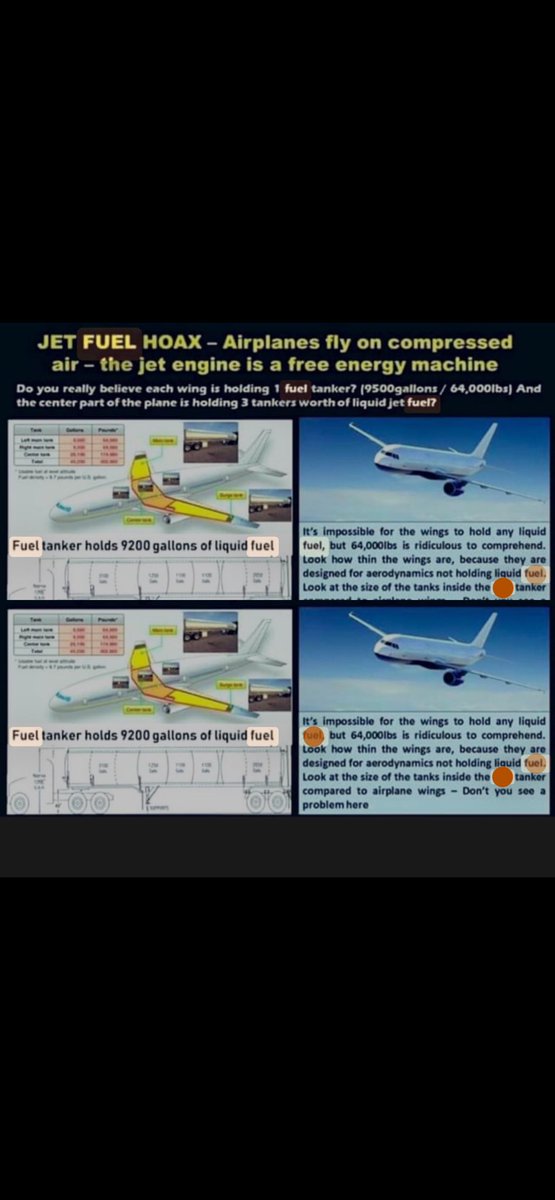 Tina Zimmermann tweet media