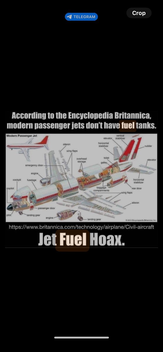 Tina Zimmermann tweet media