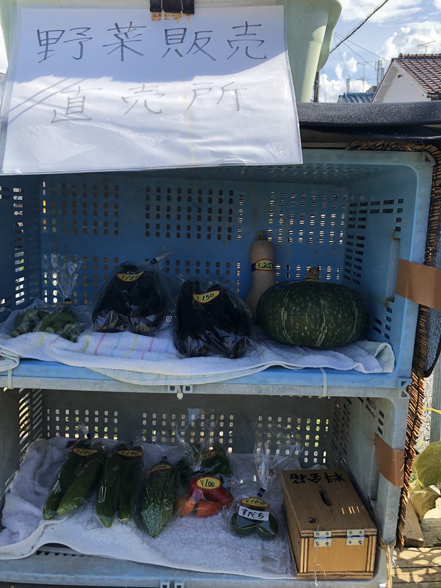 ゆうなお菜園直売所4号店補充しました🏬

Googleマップ検索🔍にて『サザナミーランド農園』『エスポワール天美』で表示されますのでよろしくお願いします🍆