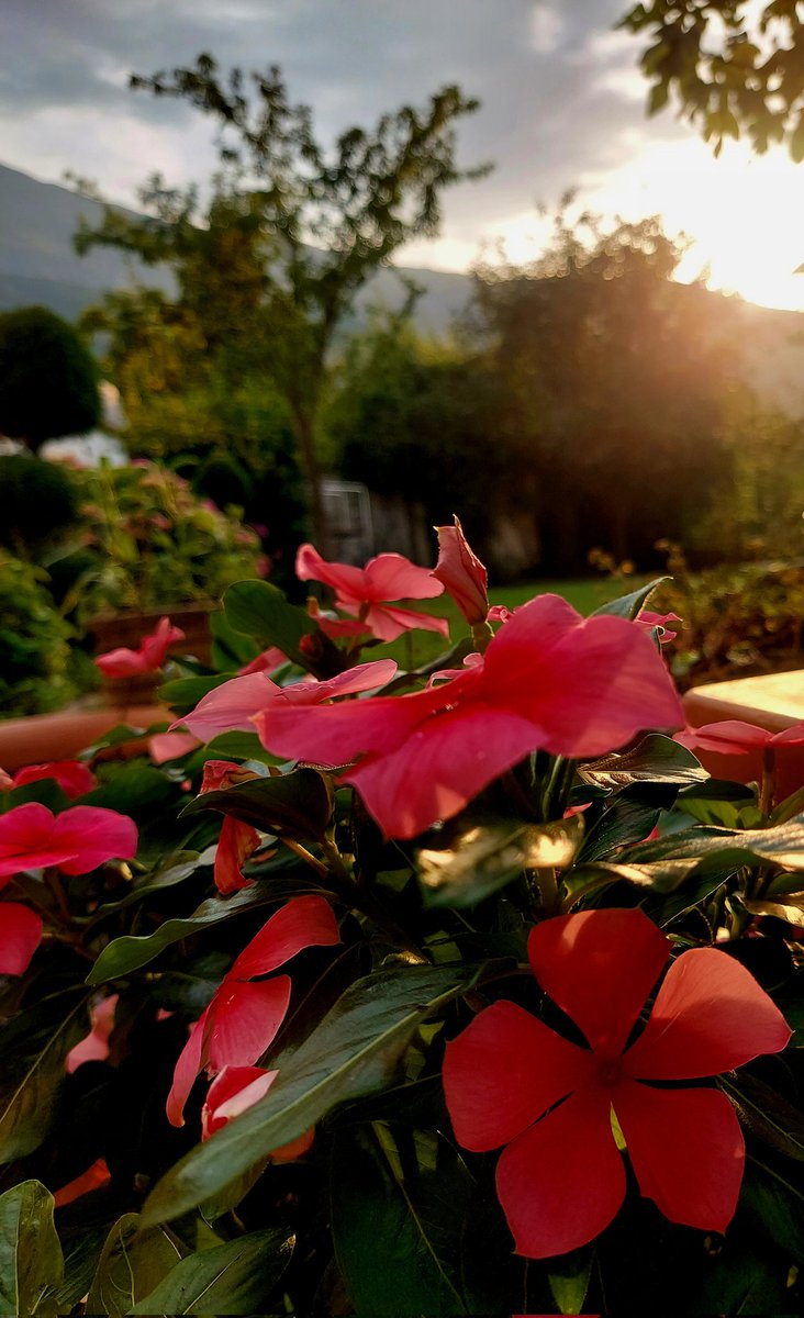 Maria Lea tweet media