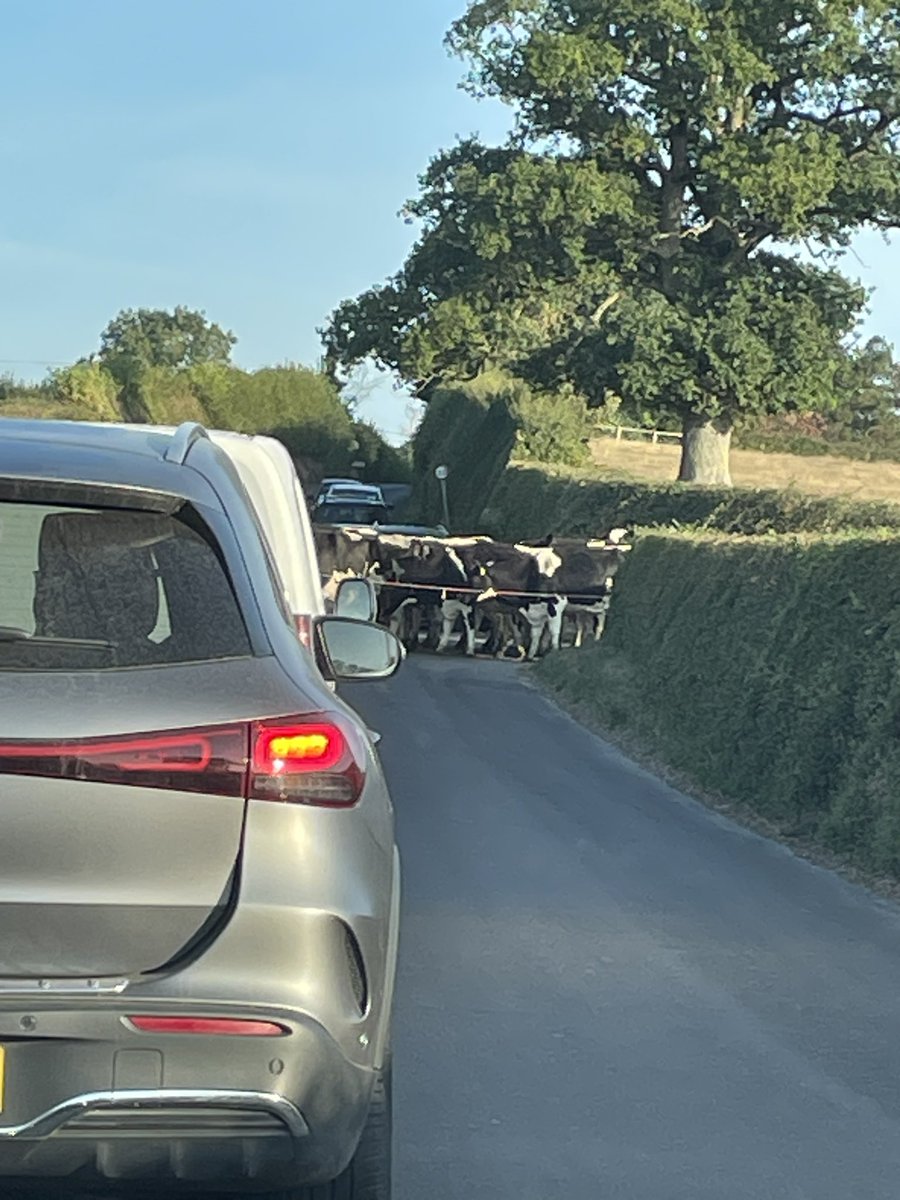 andreaparsons18's tweet photo. A traffic jam in Somerset 😂 https://t.co/lAysfZYwX4