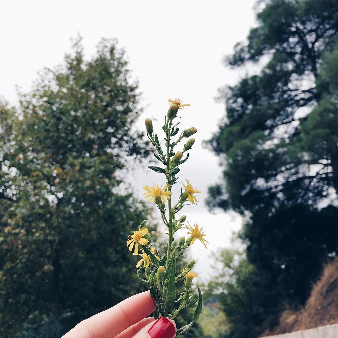 “Beraber yol almak isteyenler bir şekilde birbirine yetişir. Belki biri koşar belki biri bekler ama mutlaka yetişir.“

#TurgutUyar 'ı özlemle anıyoruz…