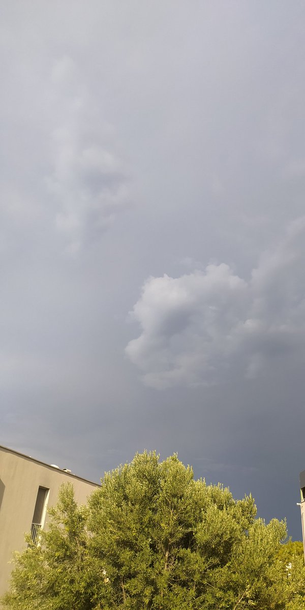 petak.
gledam van ludilo je dan...