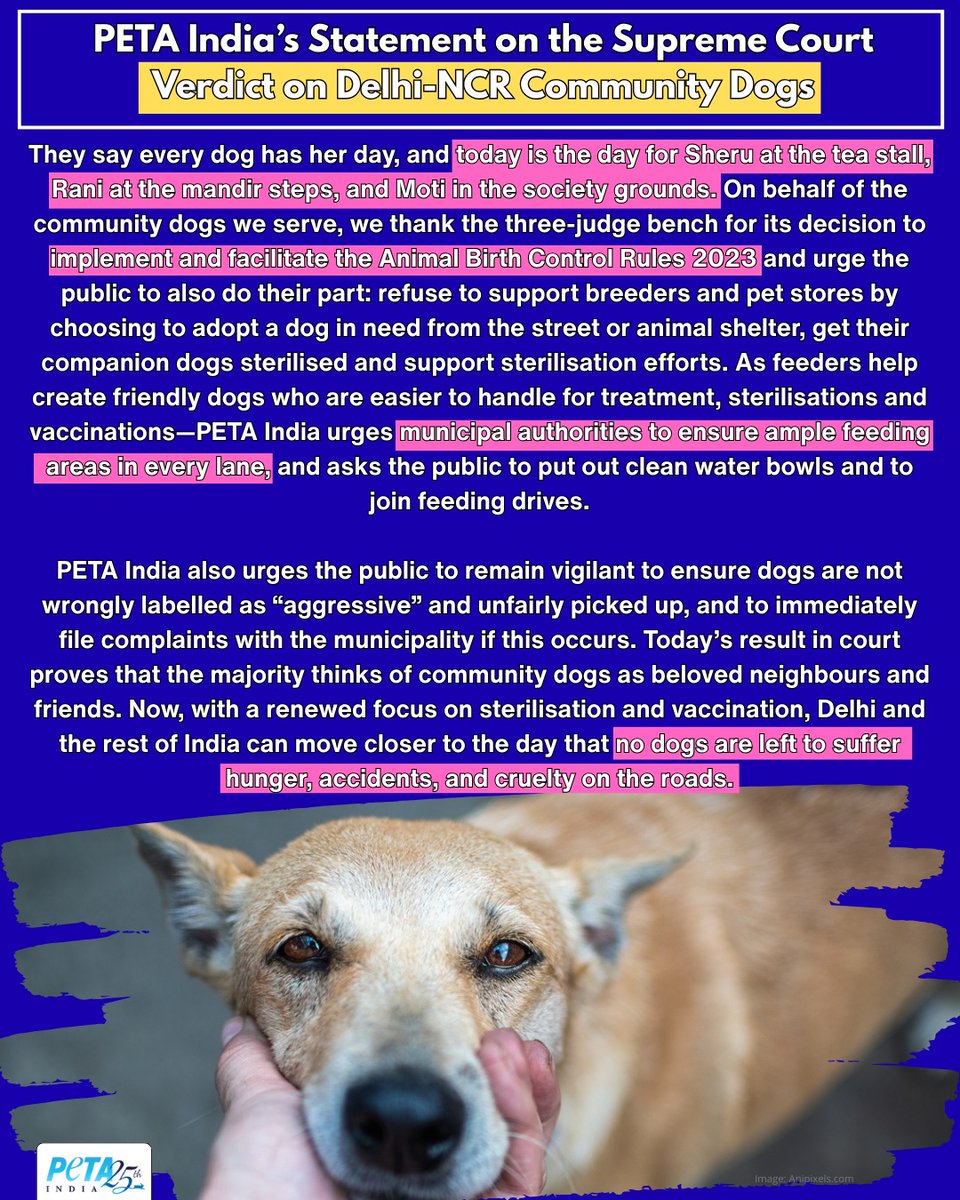 Today’s result in the Supreme Court for community dogs proves that the majority consider Sheru, Moti and Rani as our beloved neighbours and friends. 

PETA India appeals to municipalities to ensure feeding spots in every lane. 🐶❤️

#Delhi #IndieDogs #Dogs #AnimalRights