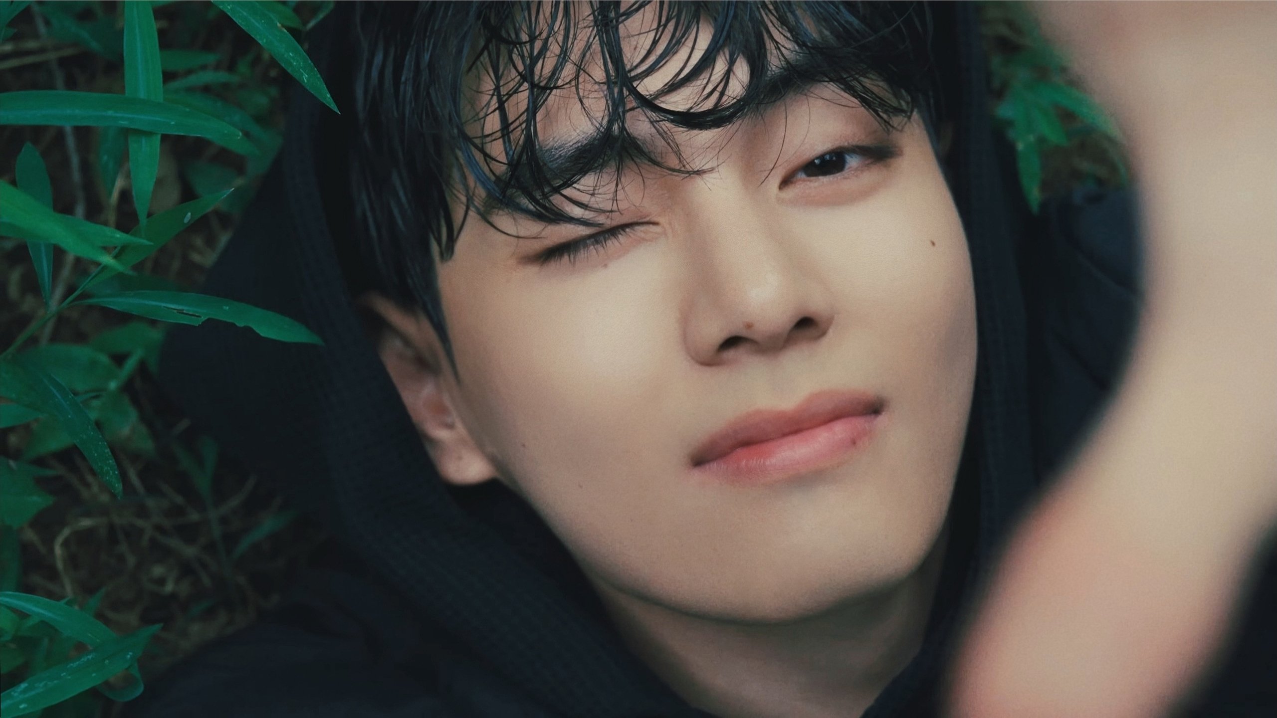 누나비(NUNA V) JP (@_nuna_V_JP) / X