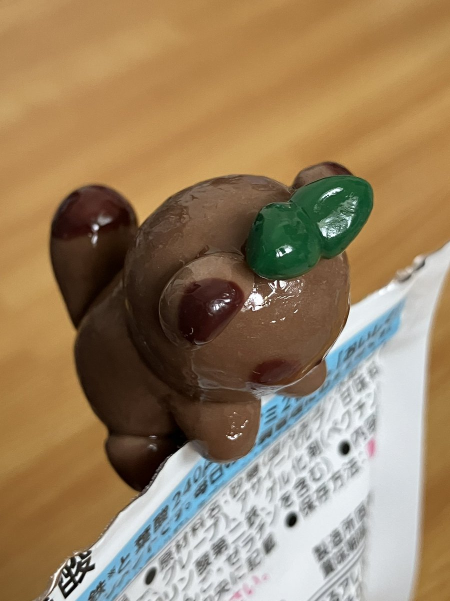 金星タヌキ ページ どどどぽんぽこのタヌキ探し (@dddtanuki) / X