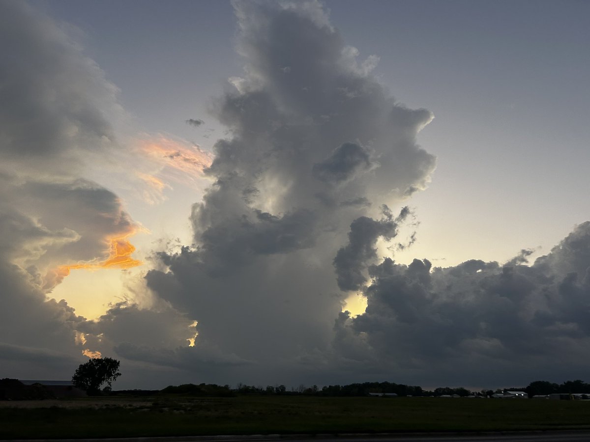 schumilover7's tweet image. 