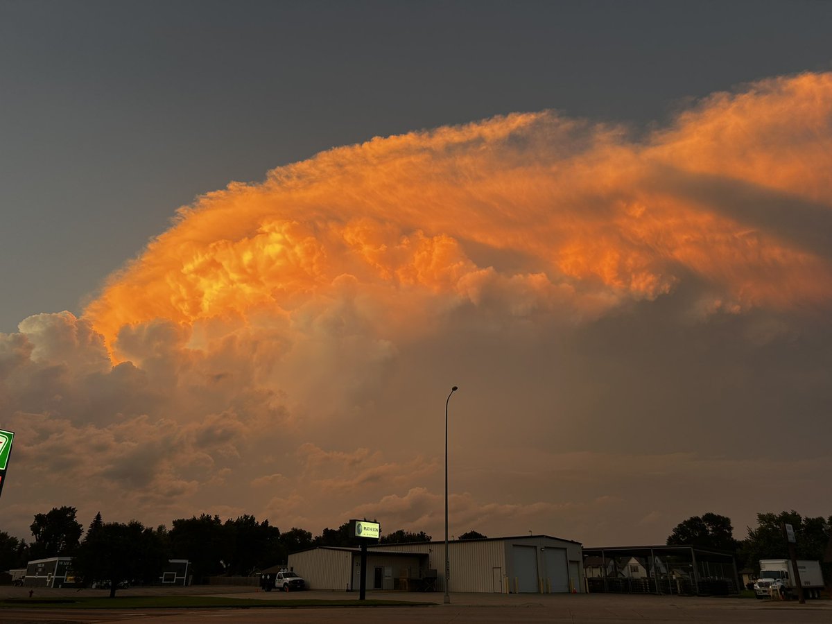 schumilover7's tweet image. 