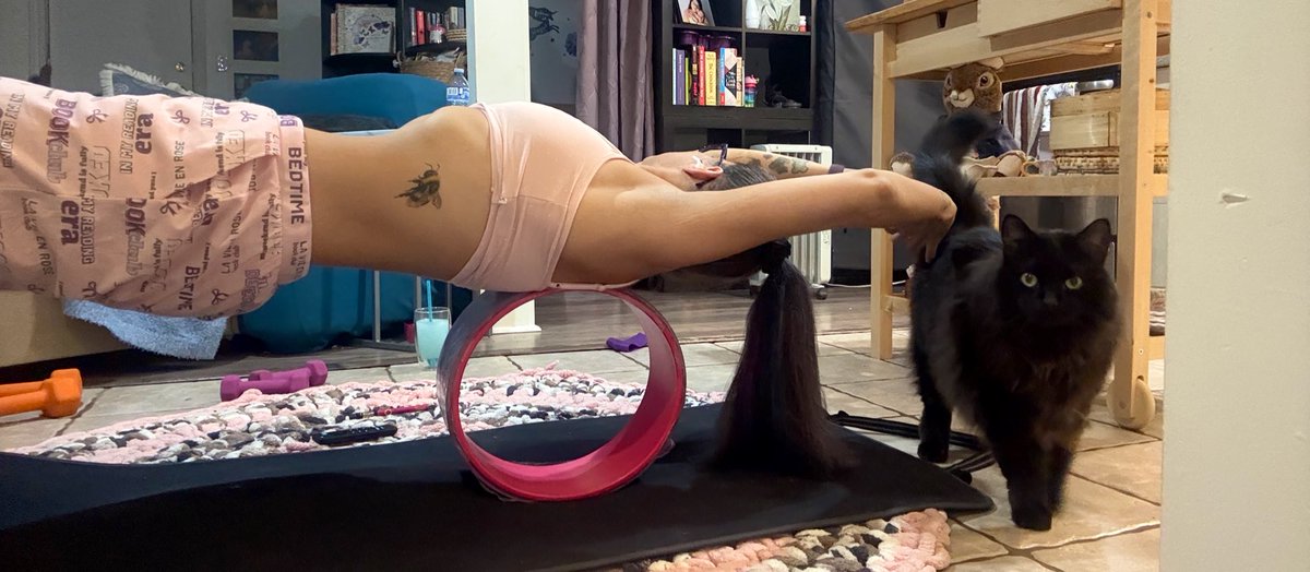 foxy_baking's tweet photo. Working on getting those last 62 cals burnt to hit 2000 cals burnt today.
Might be my 5th or 6th workout of the day
#edtwt #edrelapse #moottwt #DoBetter #stonerchicks #moothunting #willBtiny #willBthinspo https://t.co/a1ui2eJONU