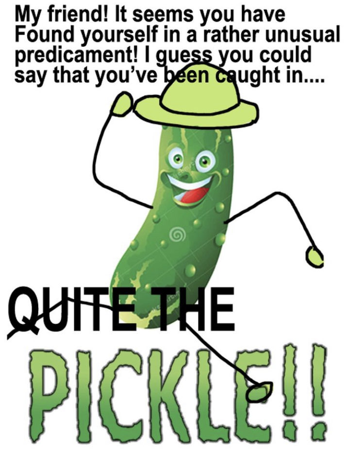 So a third of the population of the US is illegal or here on a visa, conservatively.