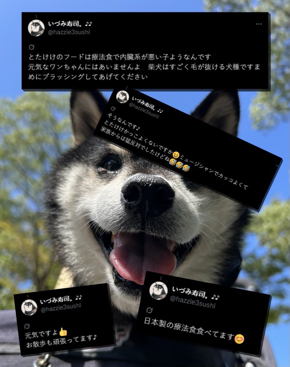 Crypto.peanut (@crypto_peanut_) on Twitter photo <a href="/HTX_Global/">HTX</a> Gm <a href="/justinsuntron/">H.E. Justin Sun 👨🚀 (Astronaut Version)</a> Woof! <a href="/TotakekeDog/">Totakeke | ETH | Fan Page</a> on Ethereum
Ca: 0x69A80A841f3385ec8Ddc6C24d2Ad2f615D2AD1f2 <a href="/HTX_Global/">HTX</a> Gm <a href="/justinsuntron/">H.E. Justin Sun 👨🚀 (Astronaut Version)</a> Woof! <a href="/TotakekeDog/">Totakeke | ETH | Fan Page</a> on Ethereum
Ca: 0x69A80A841f3385ec8Ddc6C24d2Ad2f615D2AD1f2