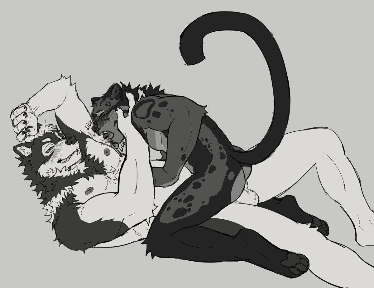 dogs and cats make great pairings 🐶😻