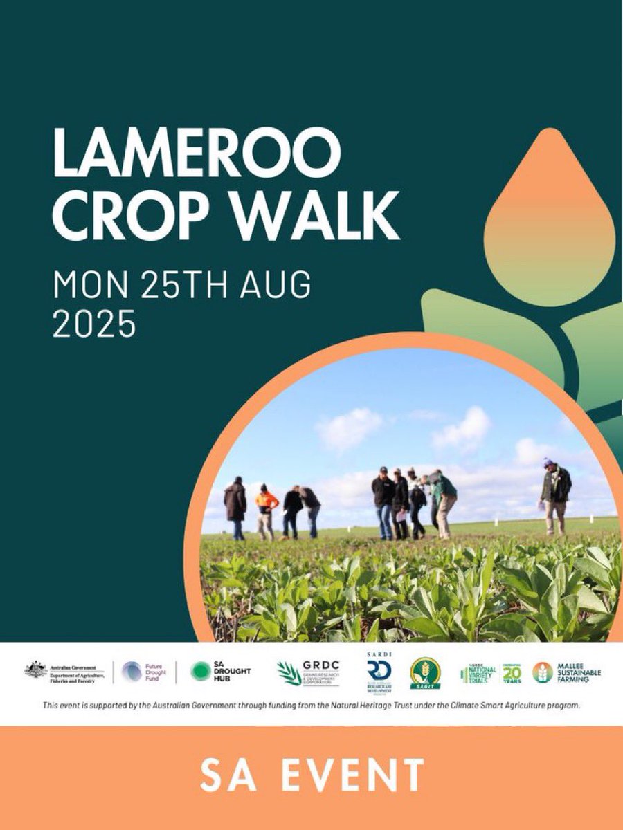 Lameroo <a href="/MsfMallee/">Mallee Sustainable Farming</a> trial site is ready for your visit on Monday. Look forward to seeing you there with plenty of questions! <a href="/GRDCSouth/">GRDC South</a> <a href="/SADroughtHub/">SA Drought Resilience Adoption and Innovation Hub</a>
