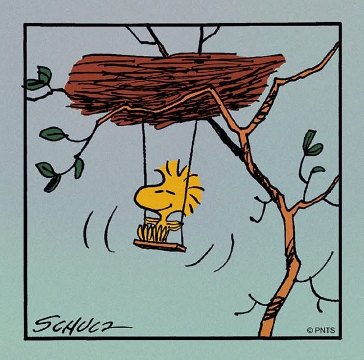 Peanuts_4Fans's tweet photo. #Peanuts https://t.co/Z79PvxDpYH