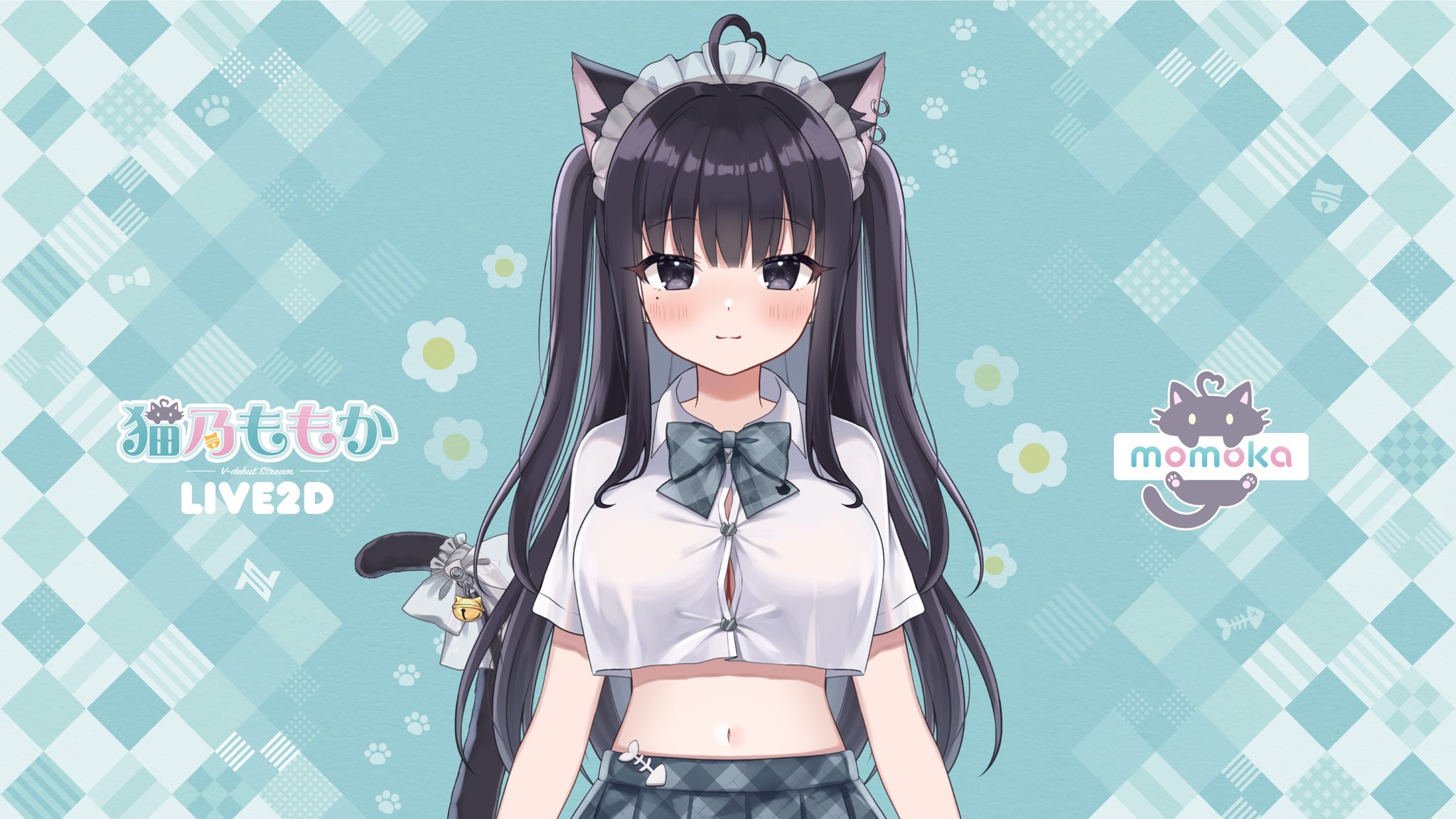 萌猫 猫儿这个萌/#小猫