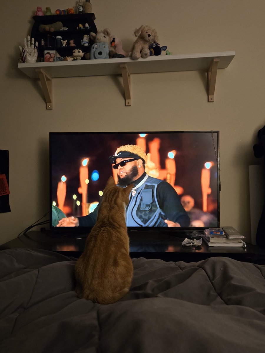 complexkiid's tweet image. She fr on that coulda been😺 @druski