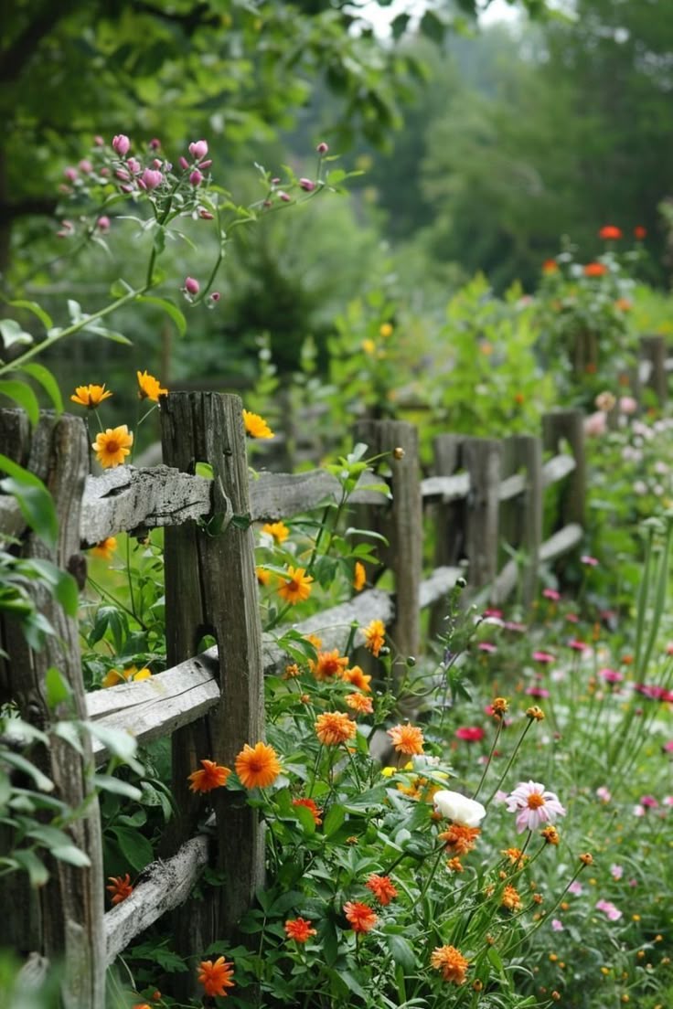 Wandering world (@wonderingwor1d) on Twitter photo 