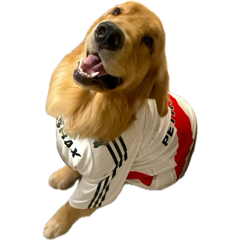 jorgejones007's tweet photo. Y dale, y dale y dale #River dale 🤍❤️🤍 https://t.co/XNudPigv0Z