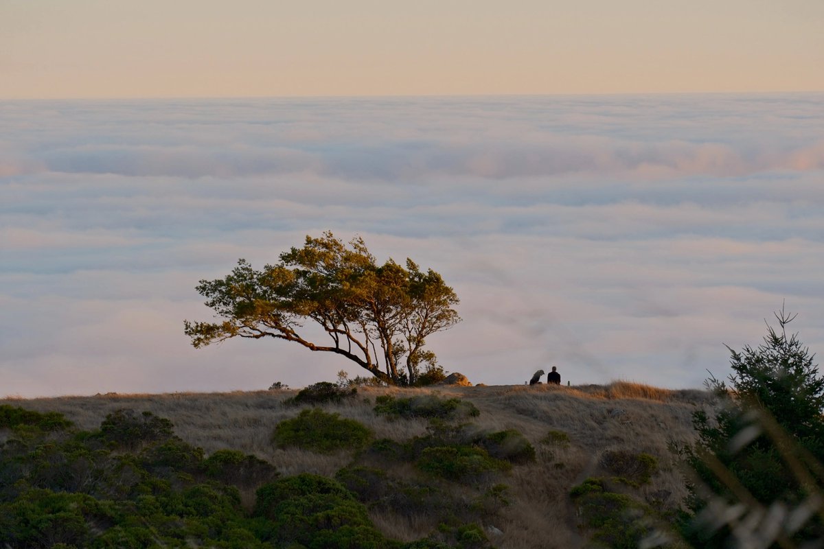 KAI (@lfk_dsk) on Twitter photo 