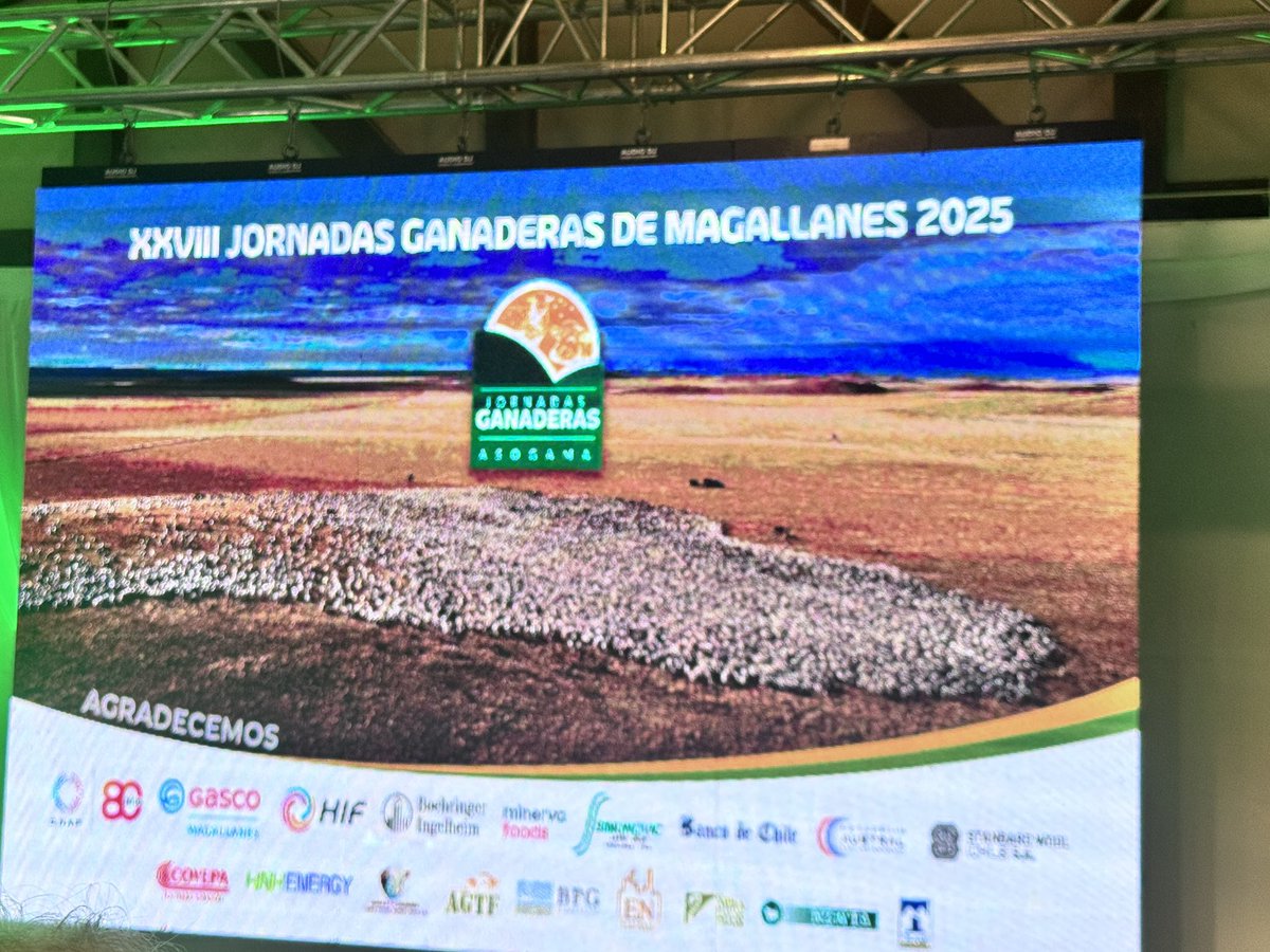 Professor Cristián Bonacič tweet media