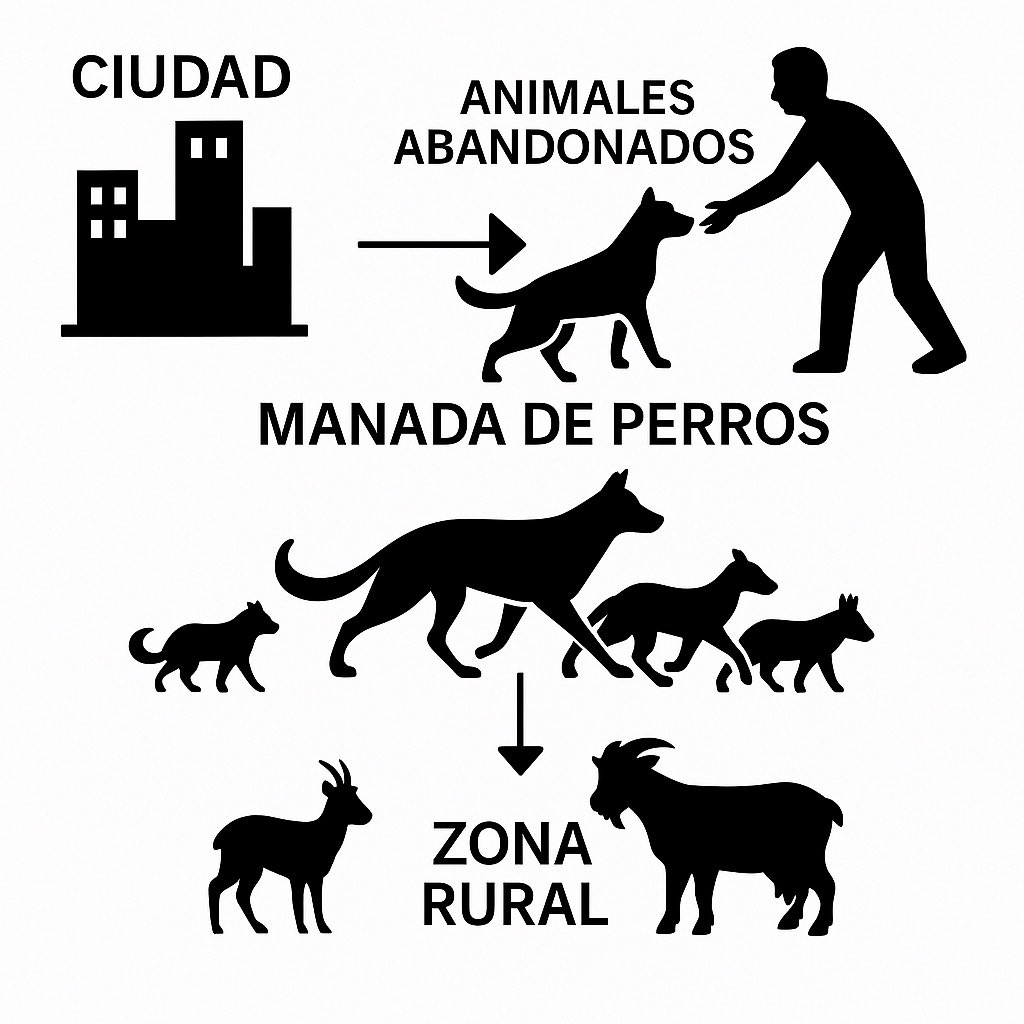 Professor Cristián Bonacič tweet media