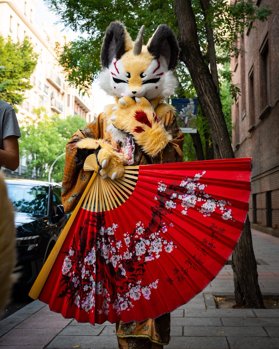 A wild kitsune spotted in Madrid yesterday~