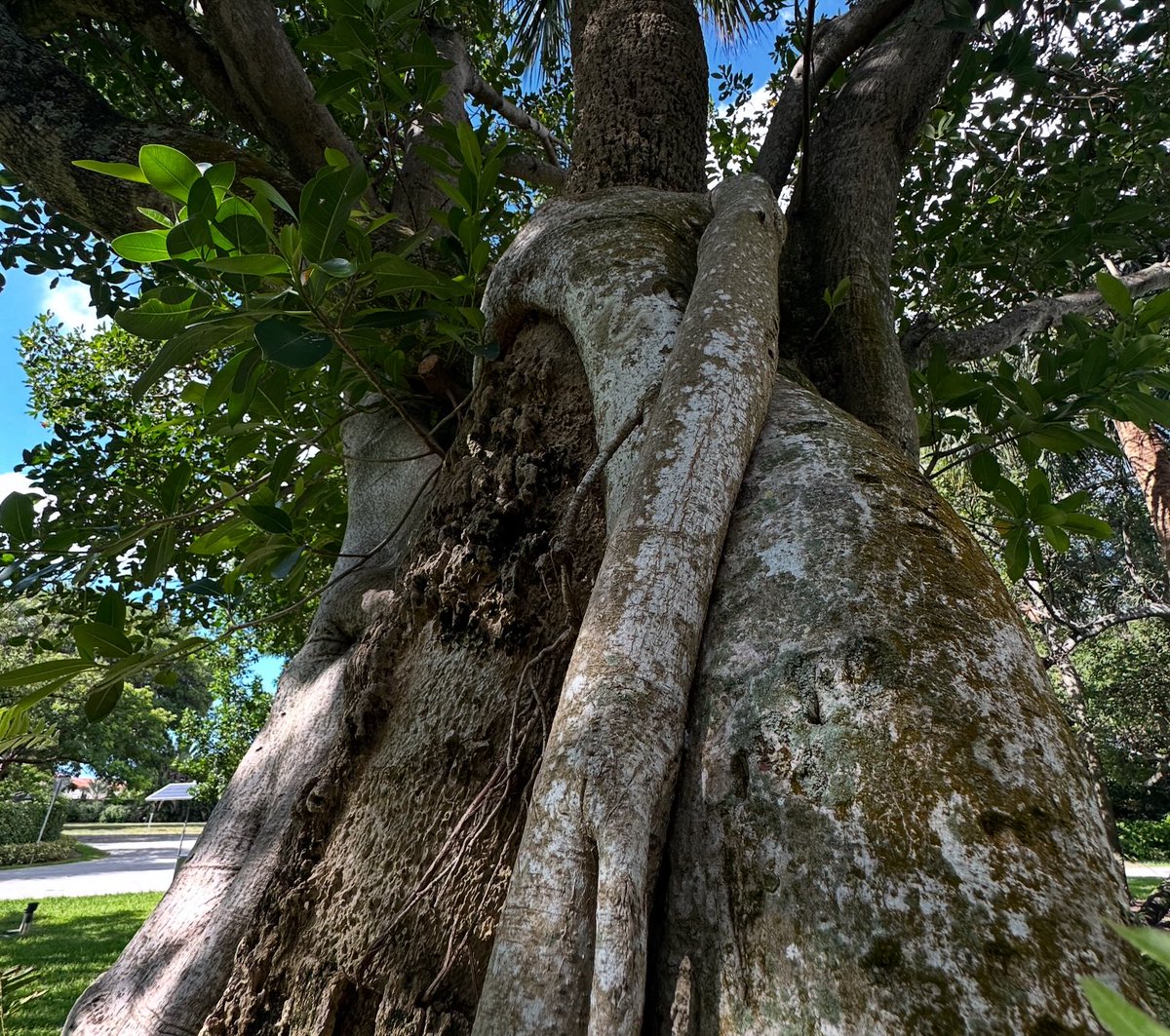 Maria Fadiman tweet media