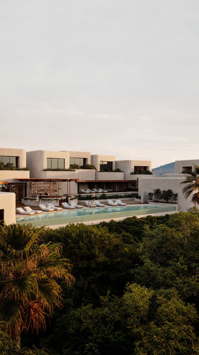 松井 一哲／Kazuaki MATSUI tweet media