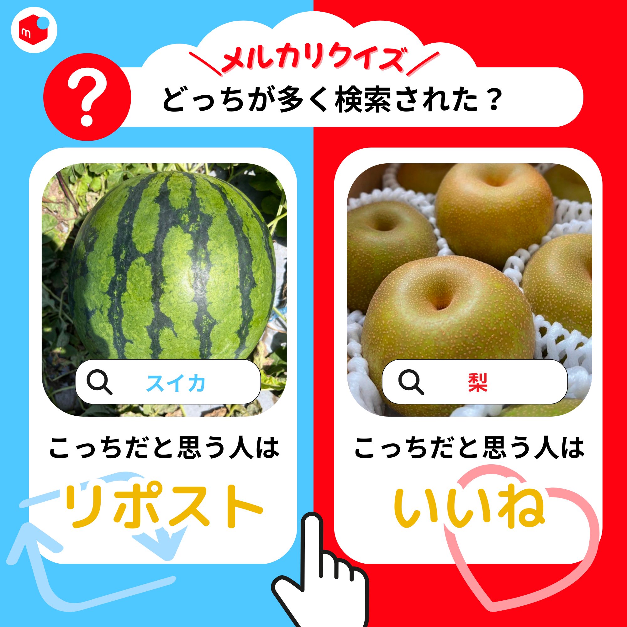 メルカリで24時間以内に売れなければ300円　「希望のニャンコ」 メルカリで24時間以内に売れなければ300円❗「上を向いて