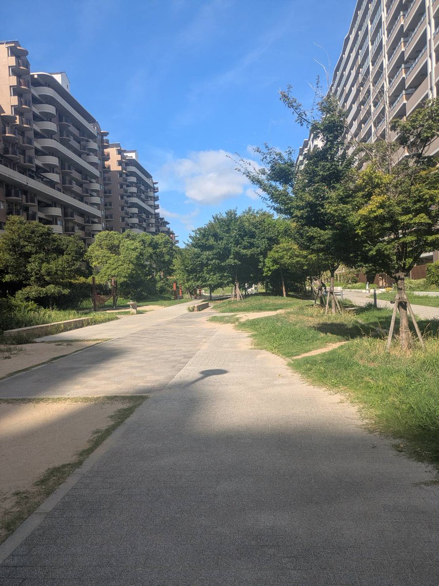 idsupport2024's tweet photo. おはようございます（=・ω・=）にゃ～♥
今日も暑い日が続きますが、暑さに負けず乗り越えていきましょう🐈

#就労継続支援Ｂ型 #就労継続支援A型 #神戸ファッションマート #神戸 #神戸市中央区 #神戸市灘区 #神戸市東灘区 #神戸市 #アイディサポート #六甲アイランド https://t.co/OL6nTkGASV