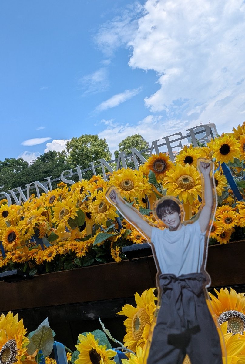 🍓 (@itsdemodocodemo) on Twitter photo 