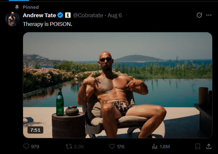 Considering what he has just told the court; Andrews current pinned post is... a choice.