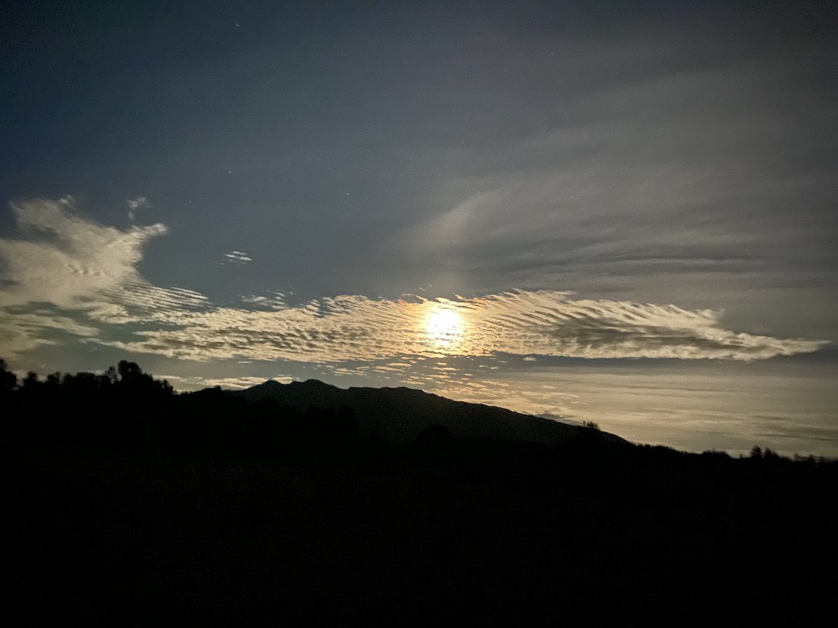 squock_'s tweet image. saw god’s tentacle in the sky with my friend the other day