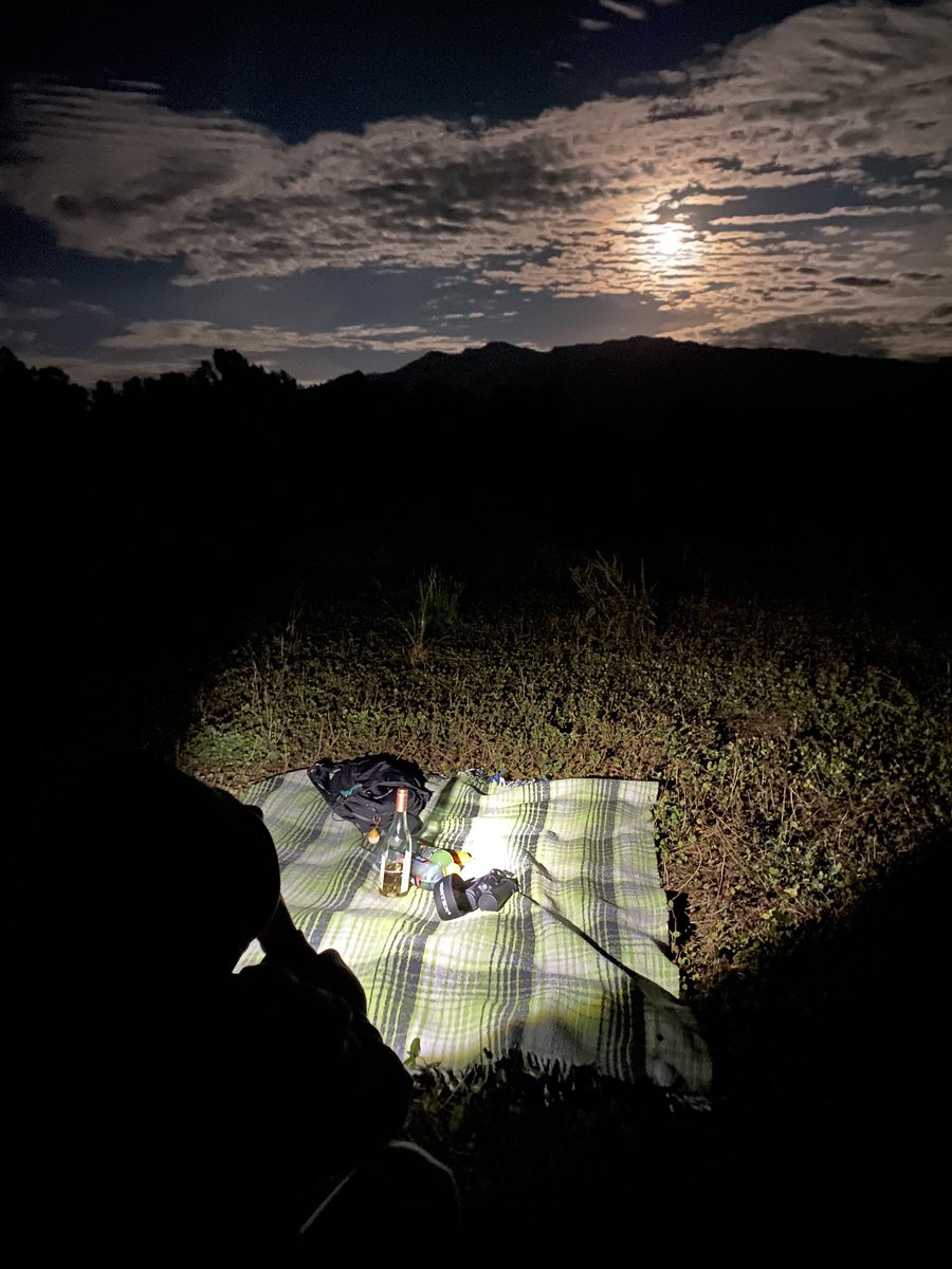 squock_'s tweet image. saw god’s tentacle in the sky with my friend the other day