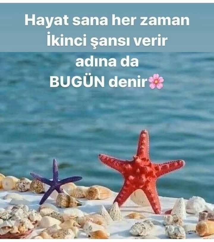 🌺GÜNAYDINNNNNN🌺
Mutluluk düşlediğiniz gibi 
Sevgi özlediğiniz gibi
Gelecek hayal ettiğiniz gibi olsun.
Herşey Gönlünüzce..❤️
 Hayırlı Cumalar olsun..🍃🌹
🌿🌺🌿🌺🌿🌺🌿🌺🌺🌿🌺
#Günaydın #guenaydin 
#Hayırlıcumalar #Cuma