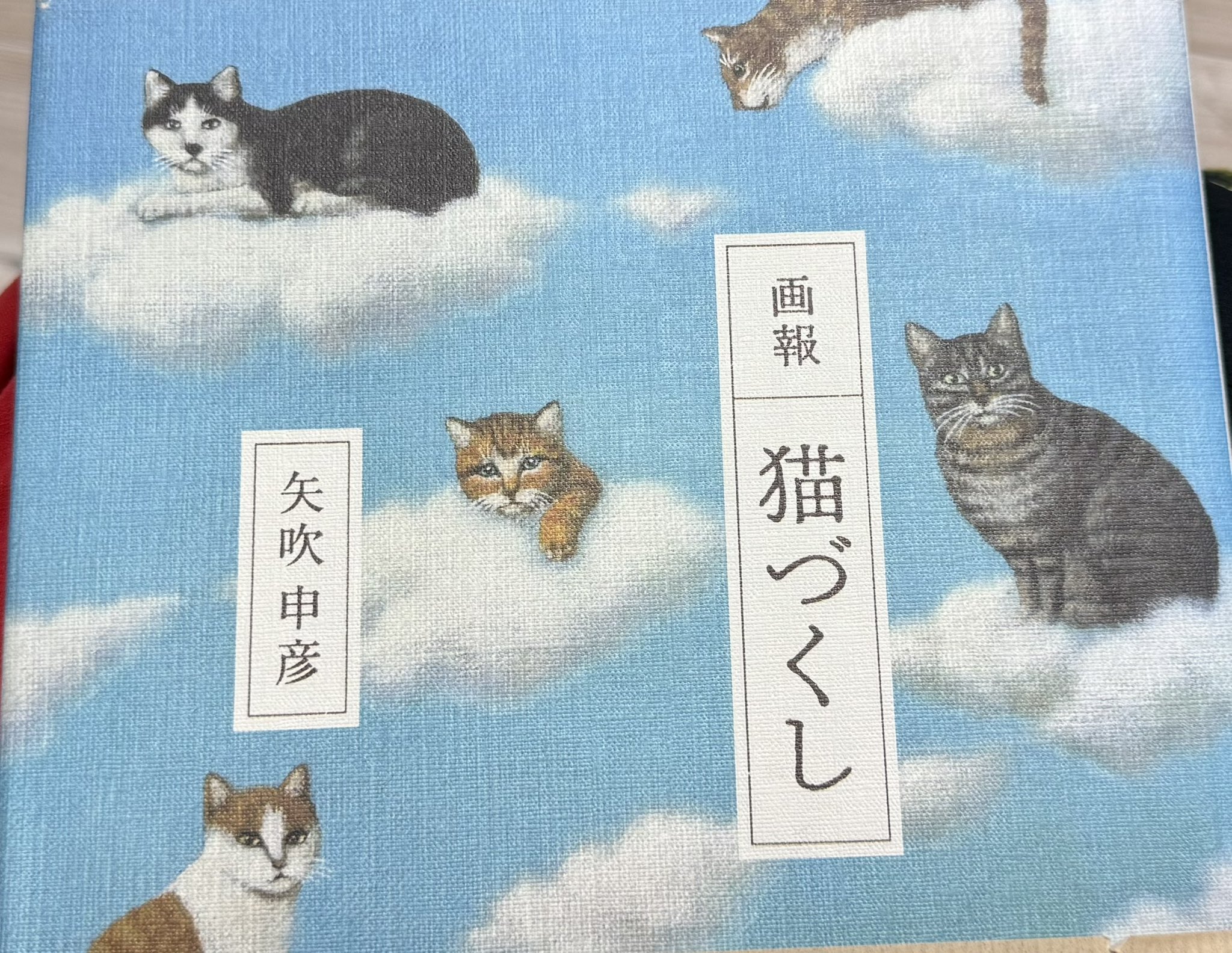 ねこばぁば🐈🌹🌕 (@Baaba_M_Cats) / X