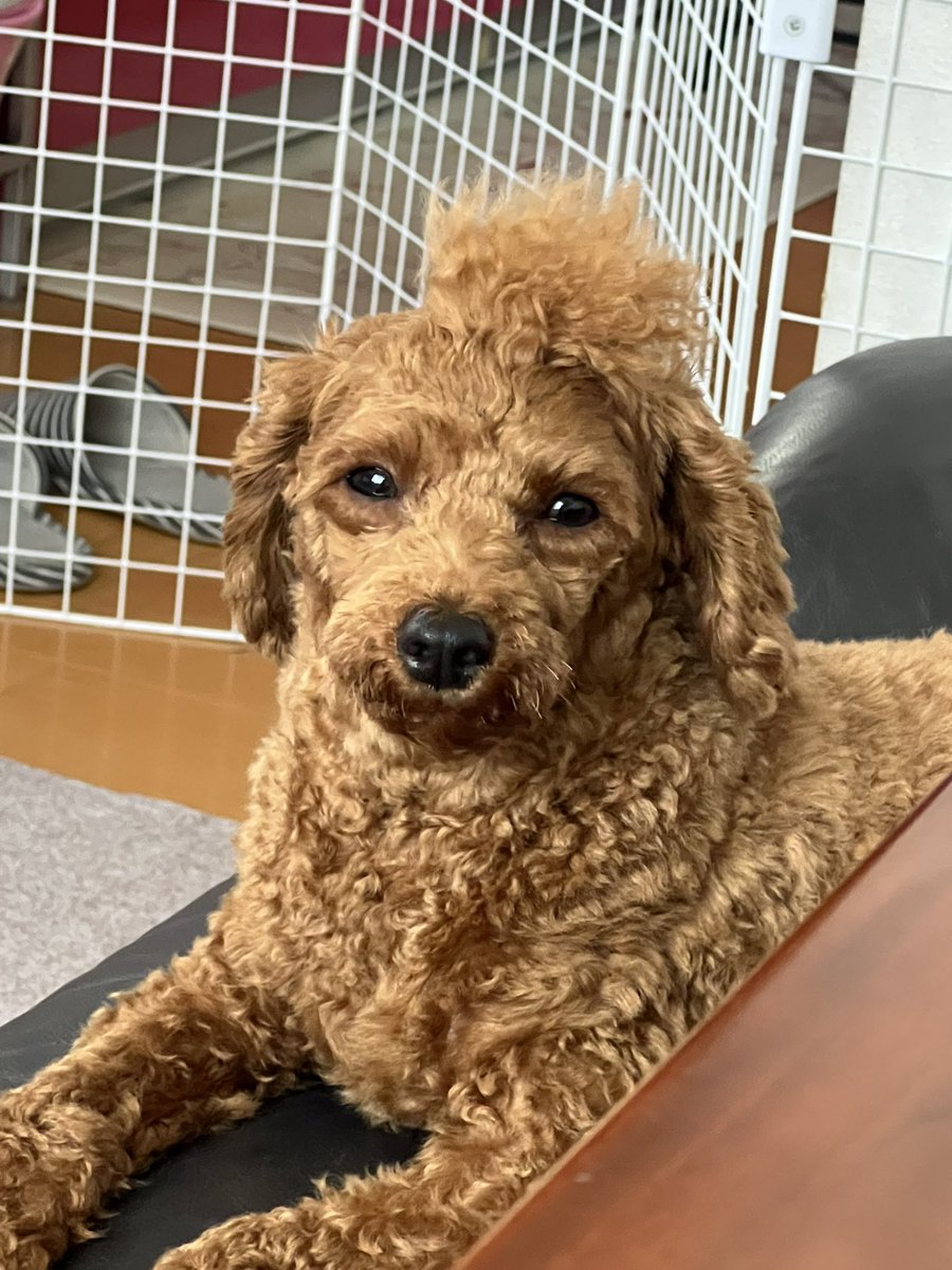 だから見つめるなって😆