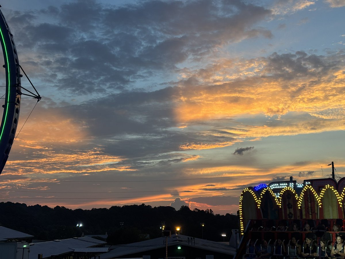ash_bug16's tweet image. 🎡🧡
