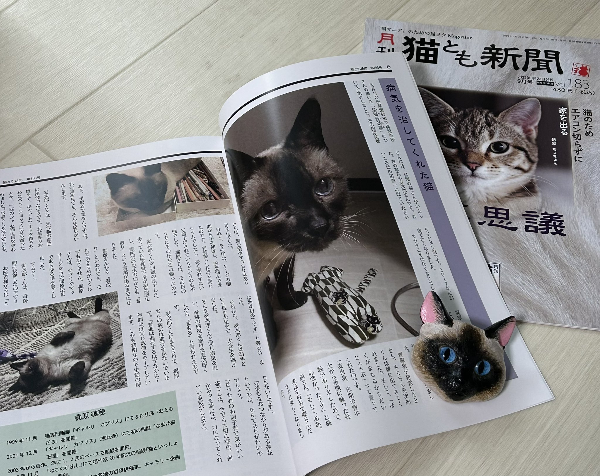 梶原美穂　猫イラスト　【太猫】 梶原美穂😸9/18-10/6個展「秋うらら、猫うらら。」@またたび堂