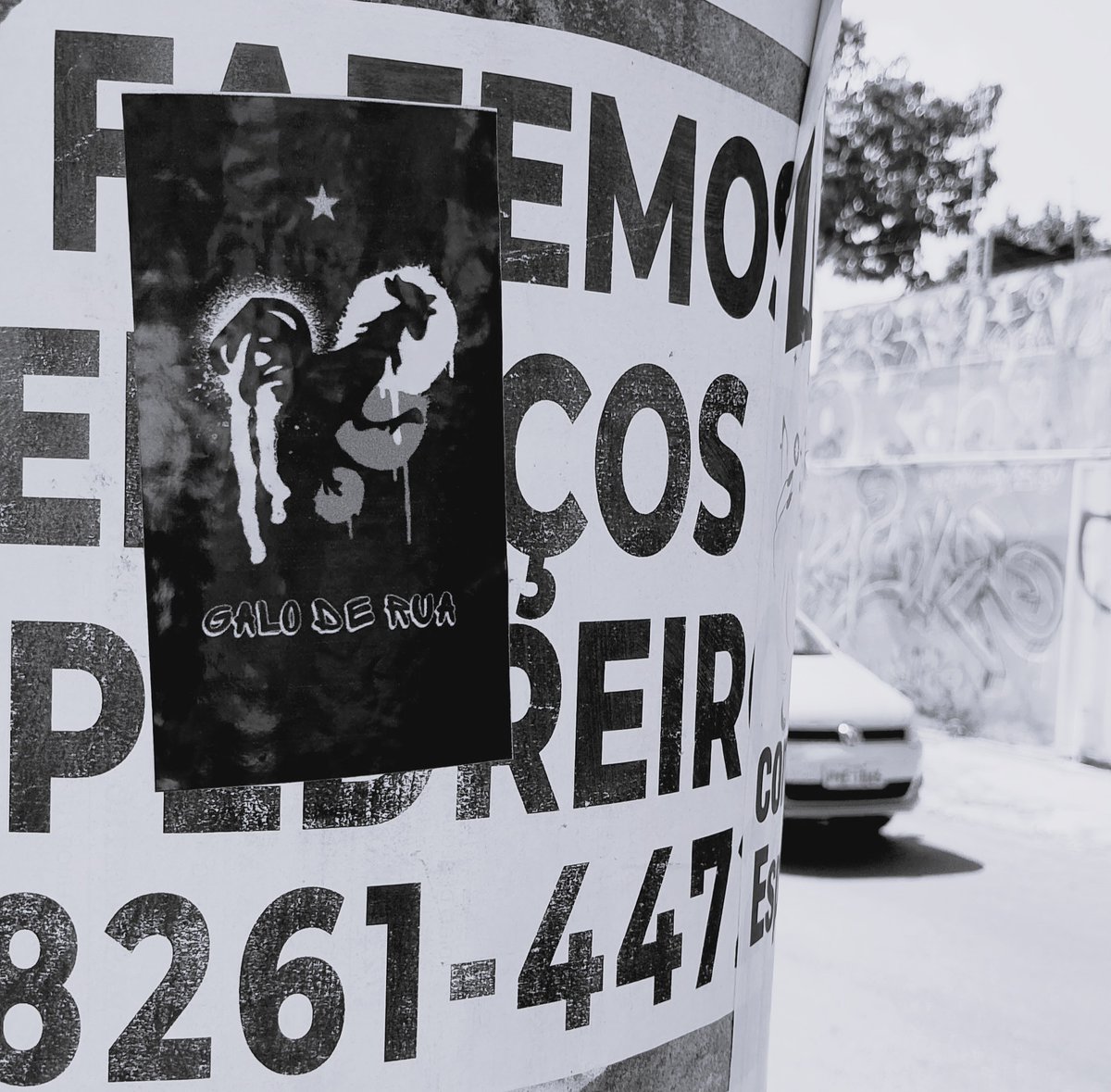 galoderua's tweet image. Sempre pelas Ruas, sempre com o Galo 

@Atletico @galoderua