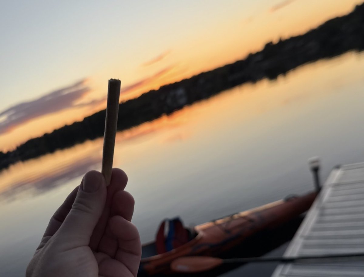 Mordecai AliVanAllenO’Shea (@jimmythafinger) on Twitter photo R u in? #straightcut #rollrollroll #noseovernumbers #flowertothepeople <a href="/VicCannabisCo/">The Victoria Cannabis Company</a> R u in? #straightcut #rollrollroll #noseovernumbers #flowertothepeople <a href="/VicCannabisCo/">The Victoria Cannabis Company</a>