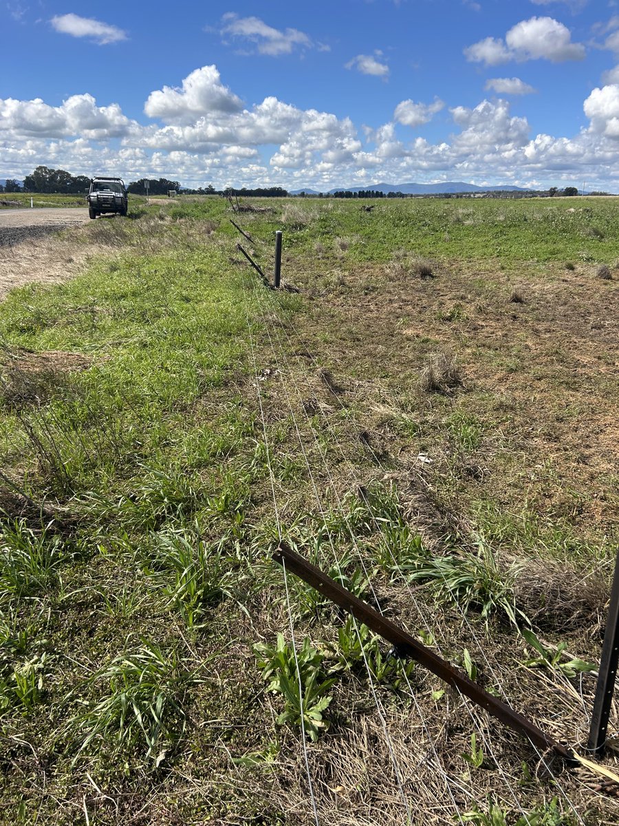 Here we go again #flooding in the Namoi Valley