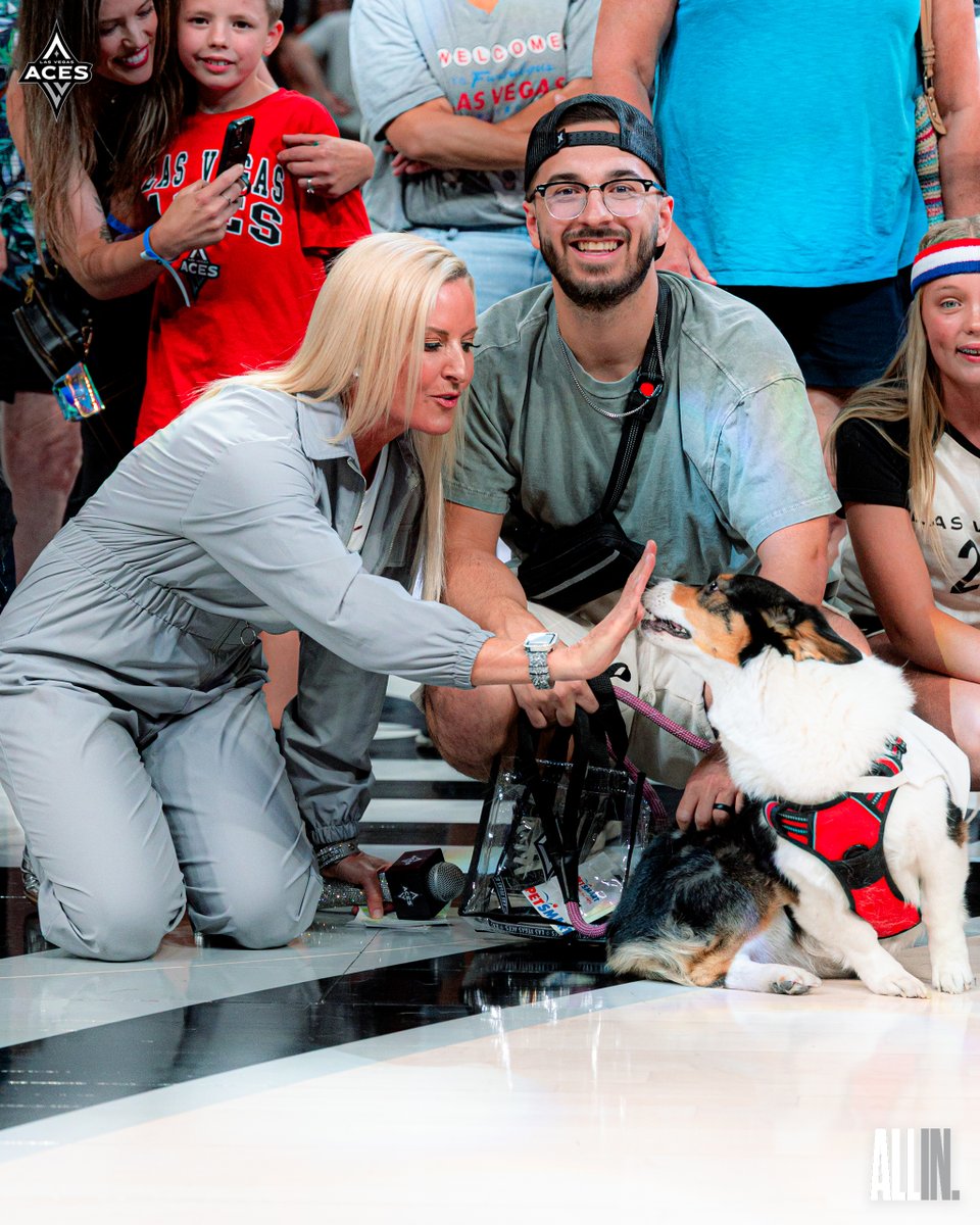 Las Vegas Aces tweet media