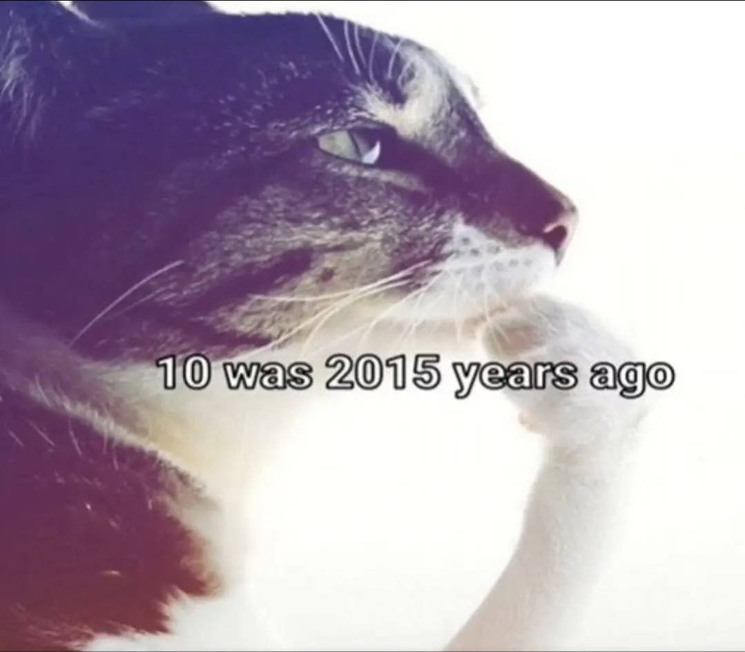 생각에 잠긴 고양이 밈, 텍스트 '10은 2015년이었다'