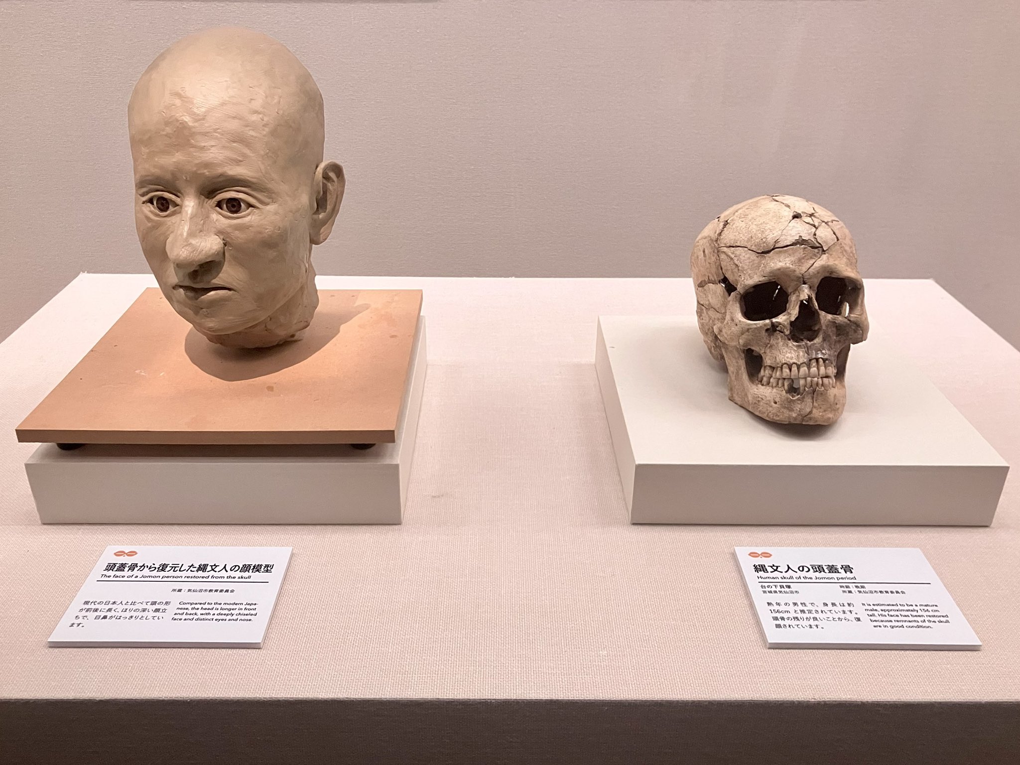 縄文人の末裔たち 新版: ヒエと木の実の生活史　棚19 縄文人の末裔たち 新版: ヒエと木の実の生活史 棚19 縄文人