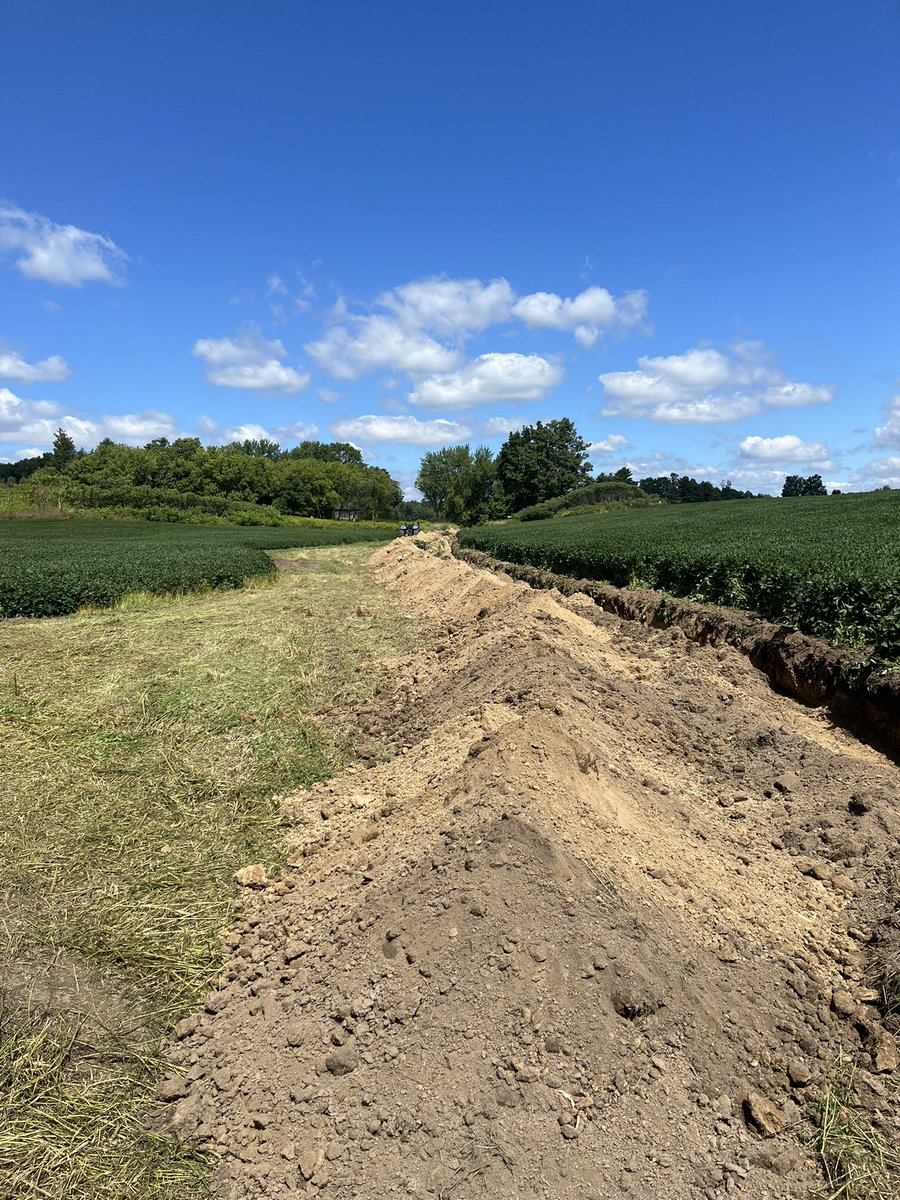 Robin Poss tweet media