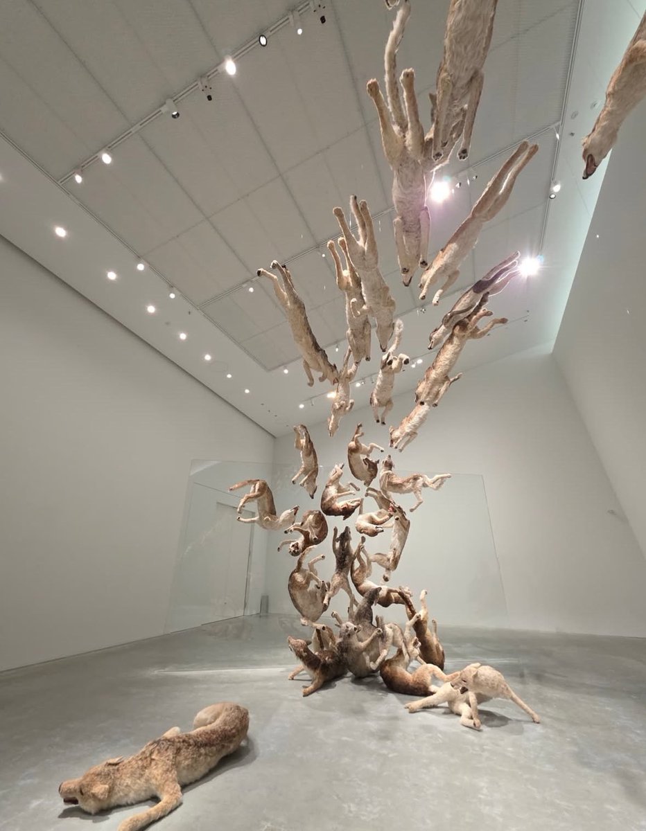 van haley tweet media