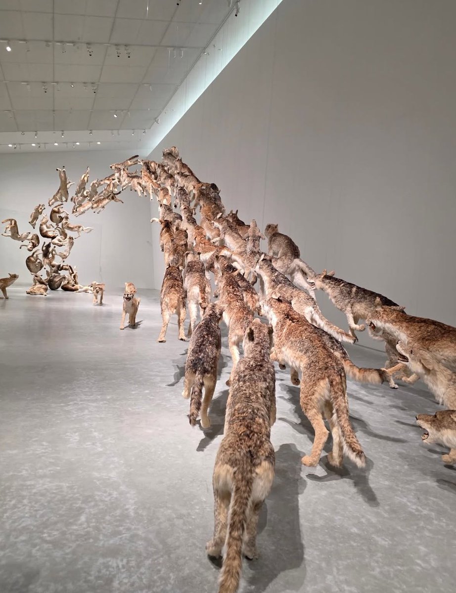 van haley tweet media