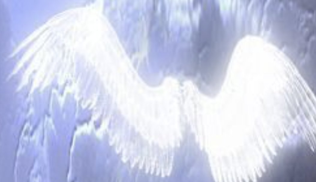 ANGEL #48 TRACK VIDEO