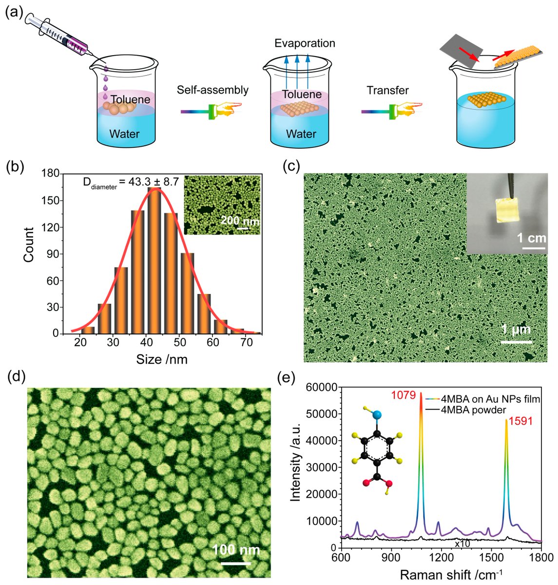 Biosensors_MDPI's tweet photo. 📣Call for Reading:
#Article
The Label-Free Detection and Identification of SARS-CoV-2 Using Surface-Enhanced Raman Spectroscopy and Principal Component Analysis
by Lu Zhou, et al.
https://t.co/WsScKw9tAN
#LabelFree #AuNP #SERS #SARSCoV2
#biosensors #mdpi #openaccess https://t.co/RfkaKWNhol